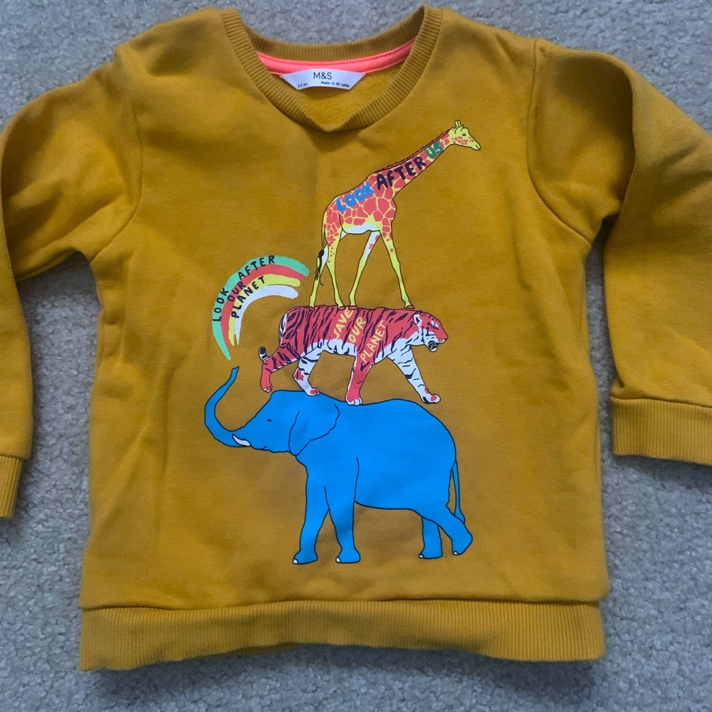 Marks and Spencer sweatshirt